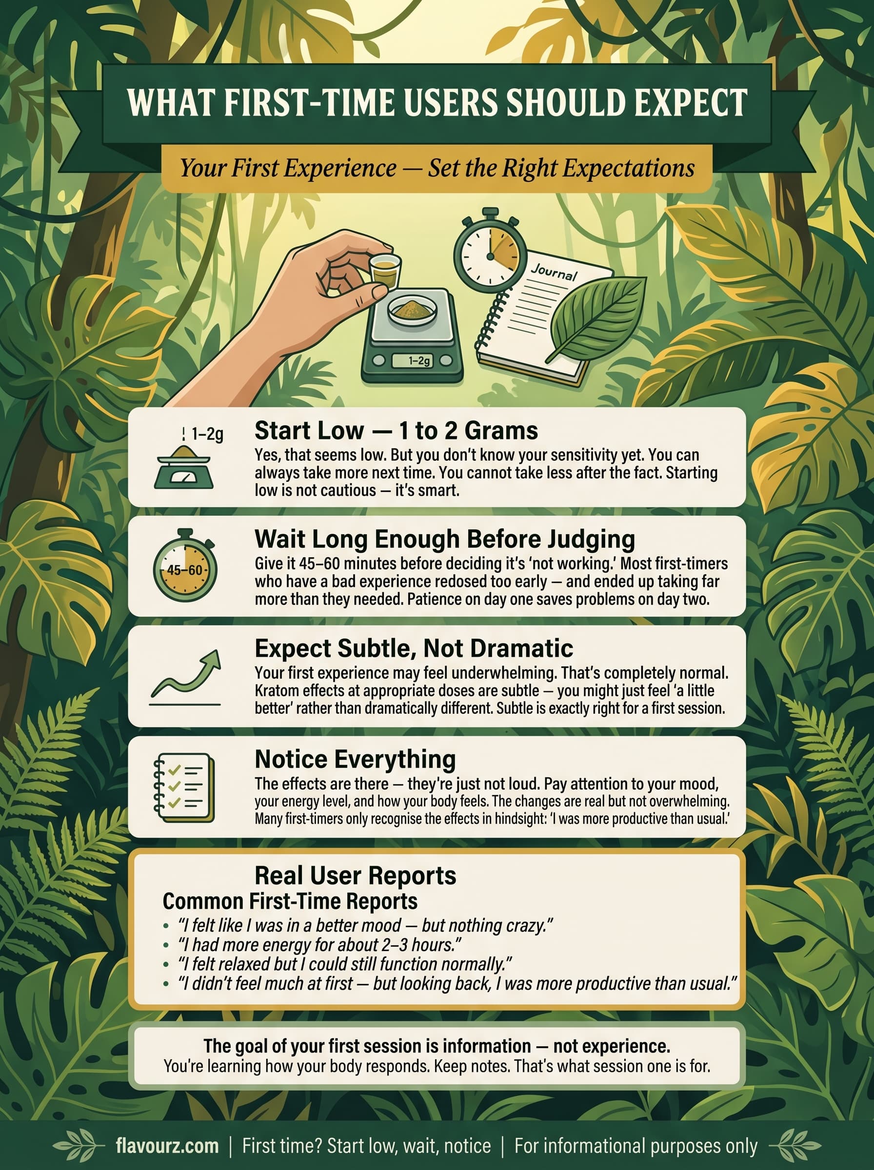 infographic for What First-Time Users Should Expect